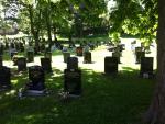 Image: Cemetery 3